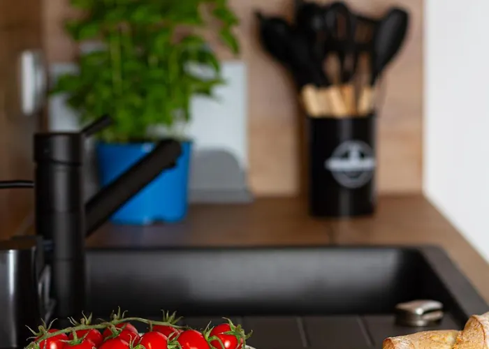 Forest - & Bikepark - Inkl Parkplatz - Waiputv